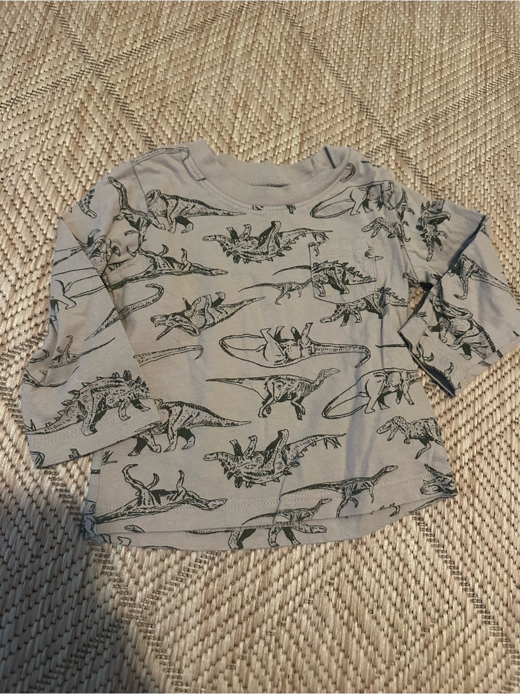 Baby Gap Long-Sleeve Dinosaur Tee 12-18 Months
